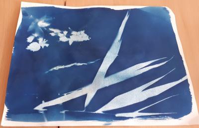 Foto des Albums: Kunstwerke vom Kurs "Treffpunkt Kunst" im KJB "Piranha"