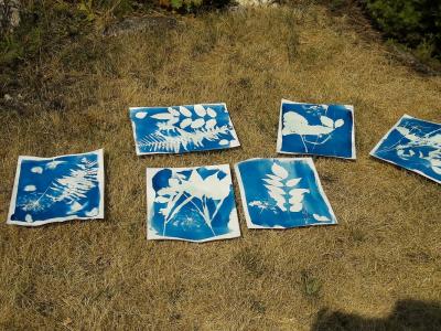 Foto des Albums: Kunstwerke vom Kurs "Treffpunkt Kunst" im KJB "Piranha"