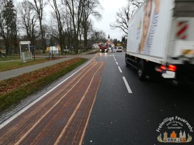 Foto des Albums: Einsatz 107-H-Öl Land-Dannenwalde, Fürstenberger Str