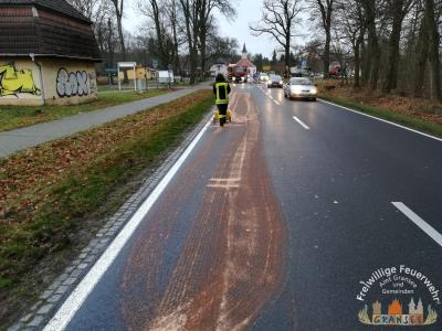 Foto des Albums: Einsatz 107-H-Öl Land-Dannenwalde, Fürstenberger Str