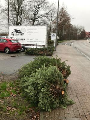 Foto des Albums: Tannenbaumaktion der Jugendfeuerwehr