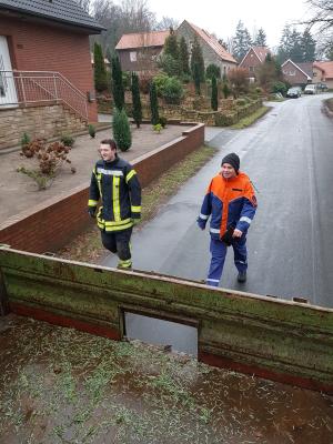 Foto des Albums: Tannenbaumaktion der Jugendfeuerwehr