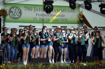 Programm des Faschingsvereins 