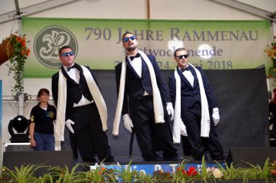 Programm des Faschingsvereins 