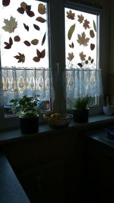 Foto des Albums: Trainingswohnung