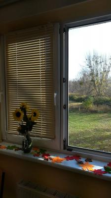 Foto des Albums: Trainingswohnung