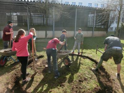 Foto des Albums: Weidentipibau "Ding-Platz"