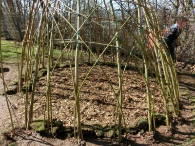 Foto des Albums: Weidentipibau "Ding-Platz"