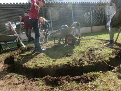 Foto des Albums: Weidentipibau "Ding-Platz"