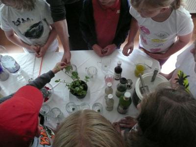 Foto des Albums: Aktionstag mit Ruben: Alkoholfreie Cocktails