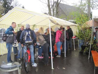 Foto des Albums: Maifaier 2017