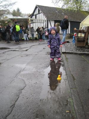 Foto des Albums: Maifaier 2017