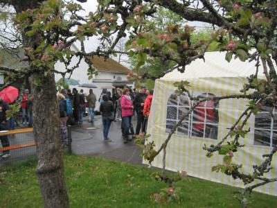 Foto des Albums: Maifaier 2017