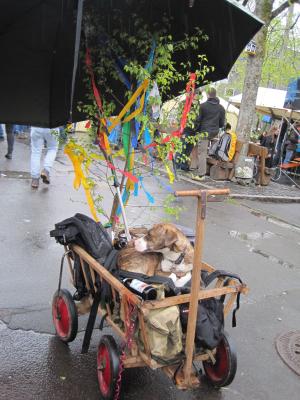 Foto des Albums: Maifaier 2017