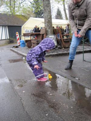 Foto des Albums: Maifaier 2017