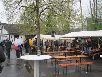 Foto des Albums: Maifaier 2017