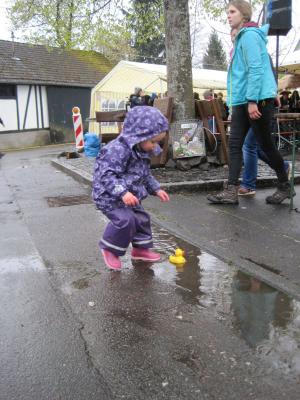 Foto des Albums: Maifaier 2017