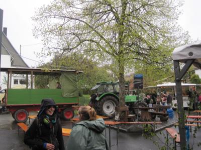 Foto des Albums: Maifaier 2017