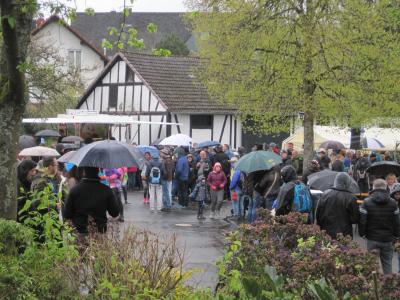 Foto des Albums: Maifaier 2017