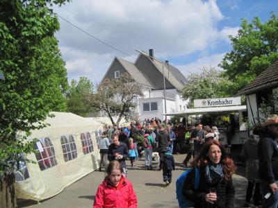 Foto des Albums: Maifeier 2018