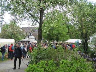 Foto des Albums: Maifeier 2018