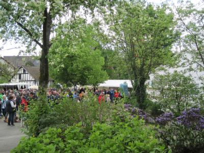 Foto des Albums: Maifeier 2018