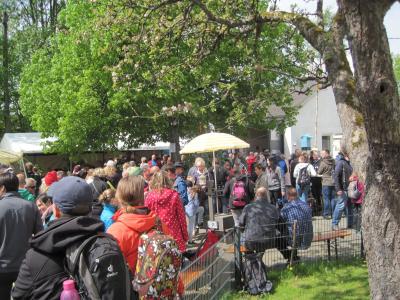 Foto des Albums: Maifeier 2018