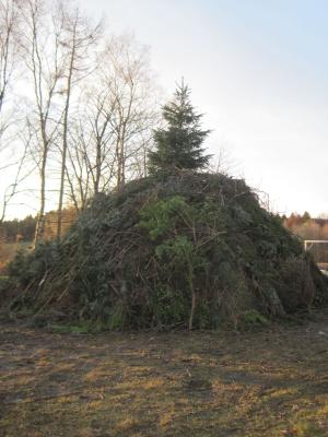 Foto des Albums: Osterfeuer 2017