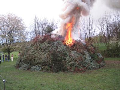 Foto des Albums: Osterfeuer 2017