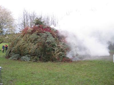 Foto des Albums: Osterfeuer 2017