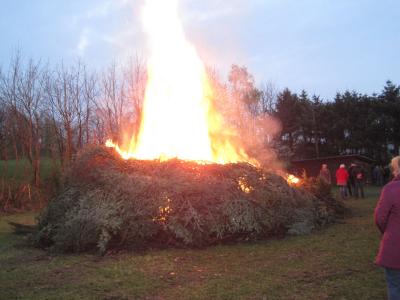 Foto des Albums: Osterfeuer 2017