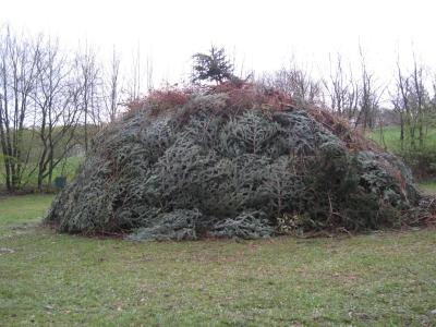 Foto des Albums: Osterfeuer 2017