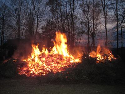 Foto des Albums: Osterfeuer 2017