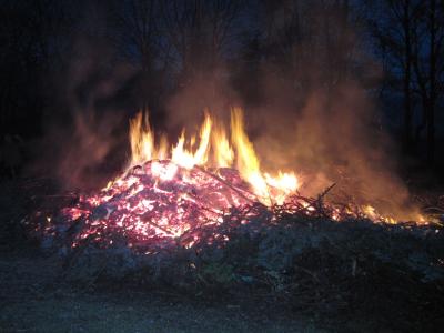 Foto des Albums: Osterfeuer 2017