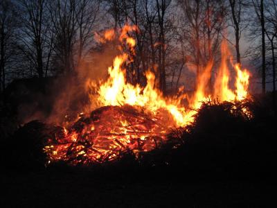Foto des Albums: Osterfeuer 2017