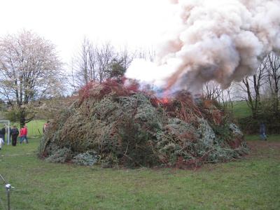 Foto des Albums: Osterfeuer 2017