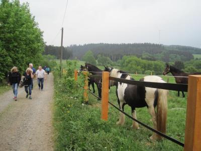 Foto des Albums: Vatertagswanderung 2018