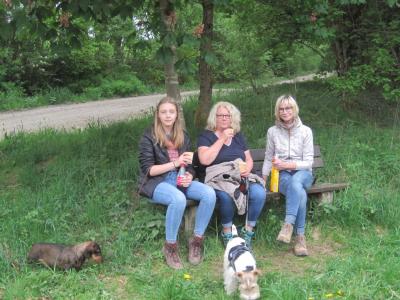 Foto des Albums: Vatertagswanderung 2018