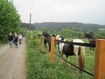 Foto des Albums: Vatertagswanderung 2018