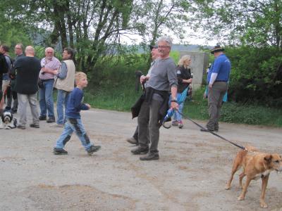 Foto des Albums: Vatertagswanderung 2018