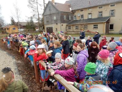 Foto des Albums: Schulfasching