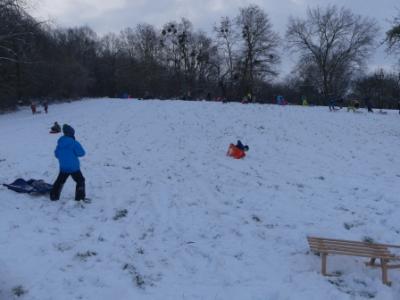 Foto des Albums: Ein Tag im Schnee