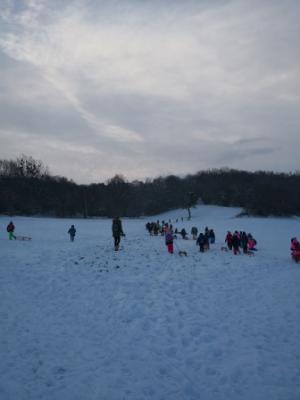 Foto des Albums: Ein Tag im Schnee