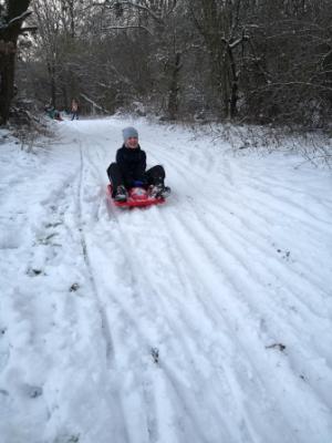 Foto des Albums: Ein Tag im Schnee