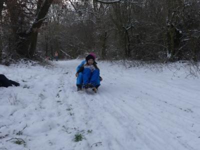 Foto des Albums: Ein Tag im Schnee