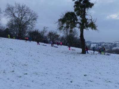 Foto des Albums: Ein Tag im Schnee