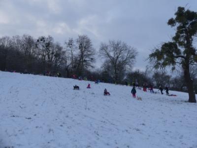 Foto des Albums: Ein Tag im Schnee