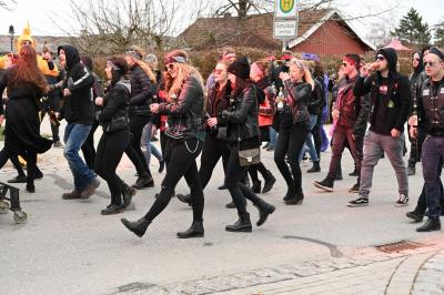 Foto des Albums: Rosenmontag 2019 - Fotos Werner Schachtner