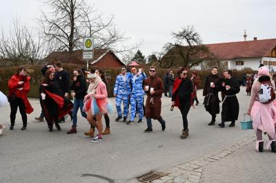 Foto des Albums: Rosenmontag 2019 - Fotos Werner Schachtner