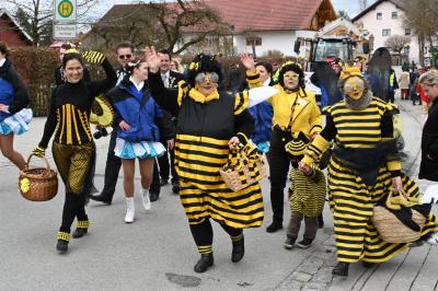 Foto des Albums: Rosenmontag 2019 - Fotos Werner Schachtner